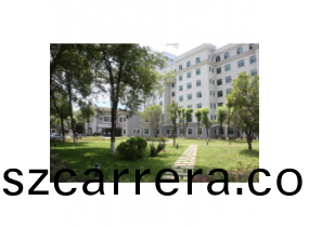 中心醫院案(an)例