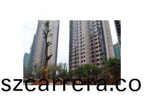 中(zhong)央(yang)新城(cheng)案(an)例(li)