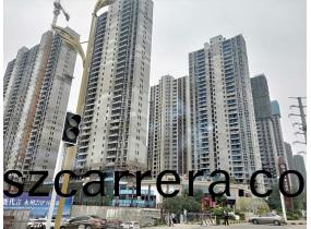 碧桂(gui)園(yuan)-黃(huang)金時(shi)代